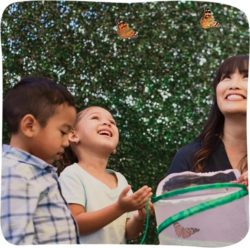 Vista 6 de Set de mariposa gigante de Insect Lore: hábitat de lujo de 18 pulgadas, vale para 5 orugas, set de juego de mariposa