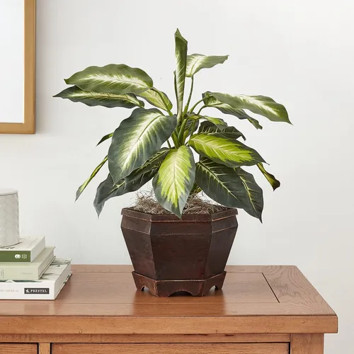 Vista 4 de Nearly Natural Dieffenbachia dorada con jarrón de madera Planta de seda