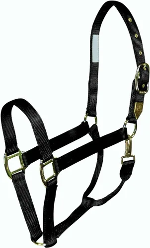 Vista 5 de Hamilton 1 cabestro de caballo con broche, tamaño pequeño (500-800 libras), bayas