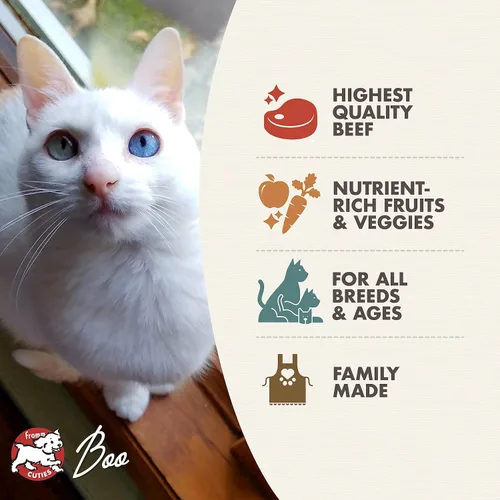 Vista 3 de Comida seca premium para gatos Fromm Four-Star Nutritionals con receta de carne de res Livattini Veg - 4 libras