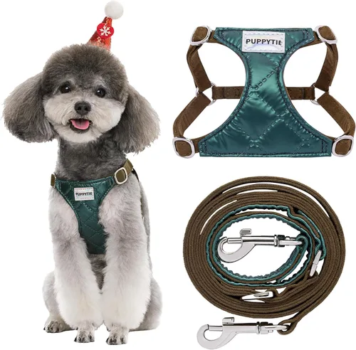 Vista 86 de Arnés sin tirones para perro, con correa multifunción, pechera suave y ajustable para mascota, no ahorca, chaleco a prueba de escape para perros