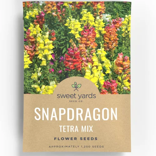 Snapdragon Tetra Mix - Sobre grande de 350 mg - 1,250 semillas de flores para plantar - Antirrhinum majus