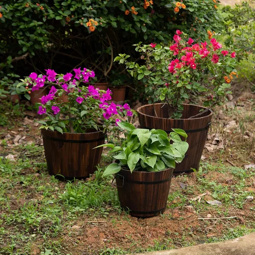 Vista 2 de Maceta rústica de madera para whisky con asas de medalla duraderas y agujero de drenaje, perfecta para plantas de interior y exterior, hierbas