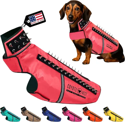 Vista 24 de CoyoteVest SpikeVest - Chaleco de arnés para perro, accesorios reflectantes para perros con picos para proteger a tu mascota de ataques de Raptor