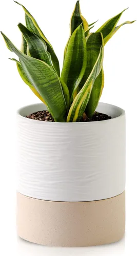 Vista 10 de Nihow Maceta de riego automático: maceta de cerámica de 6 pulgadas con orificio de drenaje y almacenamiento de agua para plantas