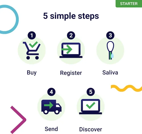 Vista 7 de Koko Genetics - Prueba de ADN para perros Starter - (Informes de razas y rasgos) - Actualizaciones sin costo