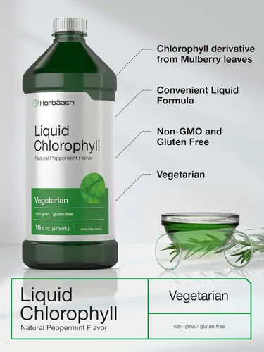 Vista 4 de Horbäach Gotas líquidas de clorofila 100 mg 32 onzas (2 botellas de 16 onzas) Sabor natural de menta Vegetariano, sin OMG, suplemento sin