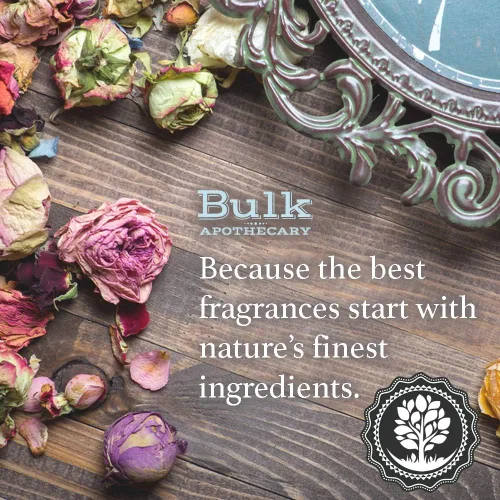 Vista 2 de Aceite aromático de palitos de canela (2.3 onzas líquidas) para difusores, velas, aromas para el hogar, aerosol de lino, limo