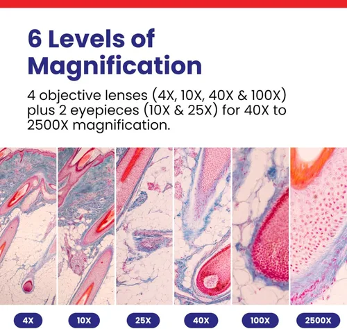 Vista 3 de AmScope Microscopio compuesto binocular LED para estudiantes y profesionales de la serie B120 - Aumento 40X-2500X - Incluye cámara USB 2.0 de 0.3MP