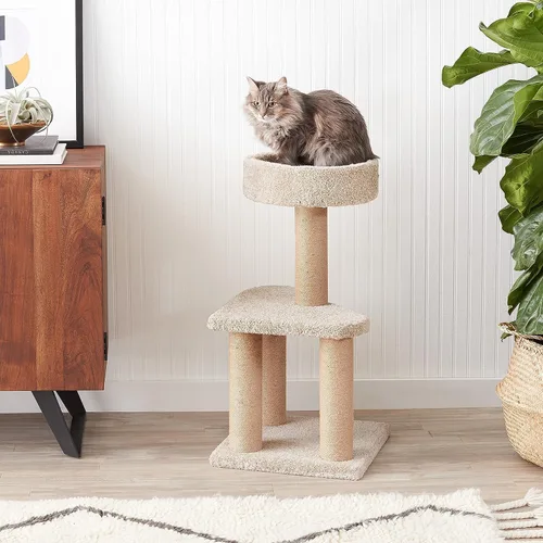 Vista 3 de Amazon Basics Árbol para gatos – Torre de actividad de escalada de varios niveles para gatos y gatitos para interiores, con postes rascadores