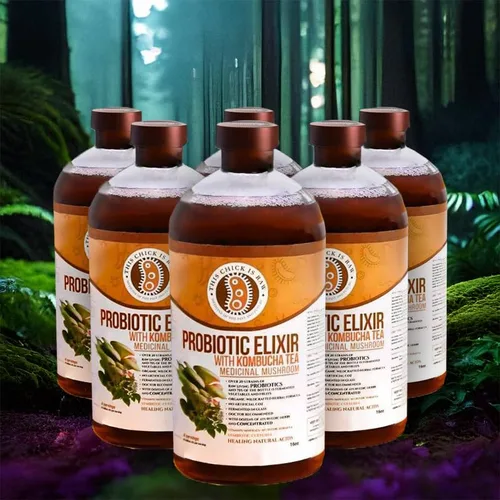 Vista 3 de This Chick is Raw - Elixir de hongos probióticos – Té de kombucha con Reishi, Chaga, melena de león y Cordyceps Salud intestinal, apoyo