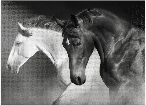 Vista 9 de MyPuzzle Horses Run Gallop in The Desert - Rompecabezas prémium de 100 piezas para adultos