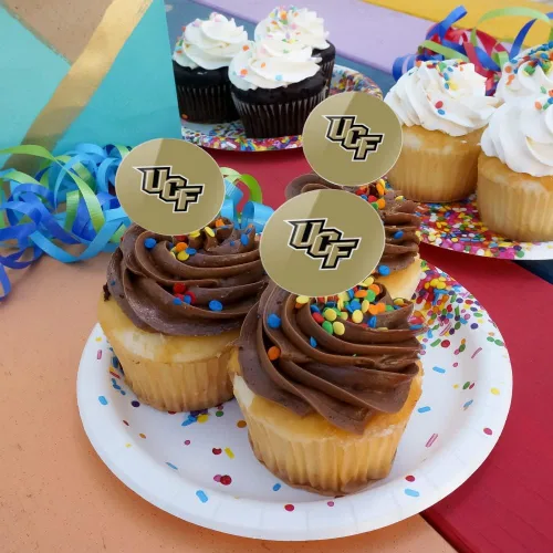 Vista 1972 de GRAPHICS & MORE Abilene Christian Primary Logo Cupcake Picks Toppers Decoración Set de 6 Universidad Cristiana de Abilene