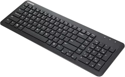 Lenovo Teclado inalámbrico 300, negro