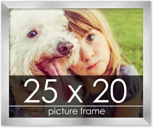 Vista 185 de Marco de madera de peltre plateado de 19 x 25 pulgadas con plexiglás acrílico UV, respaldo de tablero de espuma y accesorios incluidos