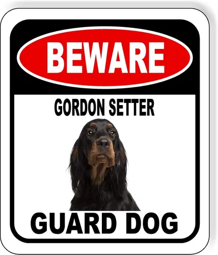 Vista 103 de BEWARE BASSETT HOUND GUARD DOG - Letrero compuesto de aluminio para exteriores, 8.5 x 10 pulgadas