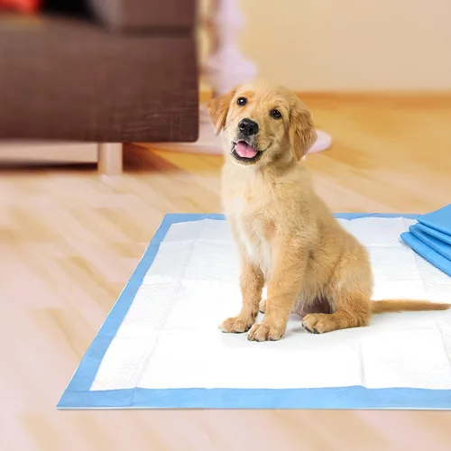 Vista 5 de Four Paws Pet Select - Almohadillas para orinar para perros y cachorros, 100 unidades, estándar: 22" x 22