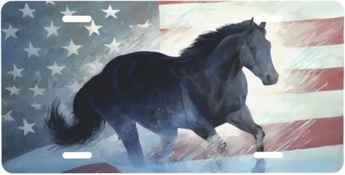 Vista 40 de Placa de matrícula retro Daisy, placa de matrícula delantera decorativa para el auto, placas de matrícula novedosas de aluminio, etiqueta