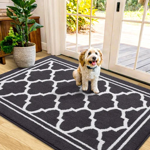 Vista 32 de Buganda Alfombra para Puerta Interior, Tapete Resistente a la Suciedad y Absorbente, Antideslizante, Alfombras de Perfil Bajo para Entrada