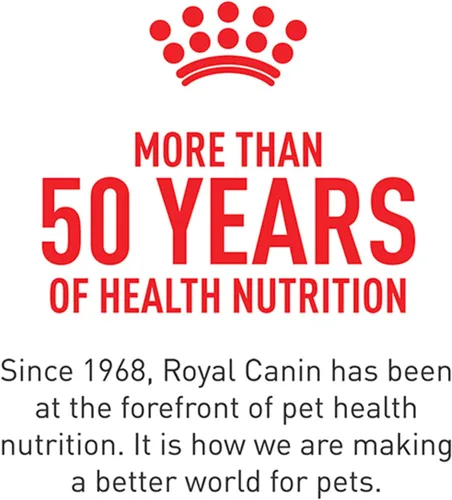 Vista 8 de Comida seca para gatitos de Royal Canin, Nutrición para la salud felina, bolsa de 1.4 kg