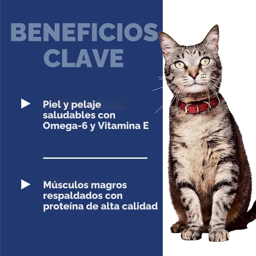 Vista 4 de Alimento seco para gatos adultos, receta de pollo para un cuidado óptimo de Hill's Science Diet