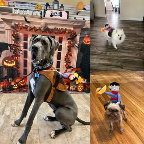 Vista 6 de Disfraz de vaquero para perro, disfraz de caballero con muñeca y sombrero, disfraz para mascotas (L)