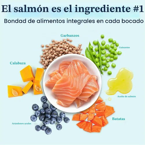 Vista 4 de Solid Gold Alimento seco para perros de bisonte de raza pequeña, grano