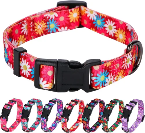 Vista 28 de Rhea Rose Collar de perro para perros pequeños con patrón floral para hembras y perros, talla S