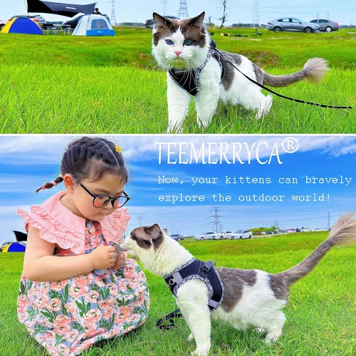Vista 7 de TEEMERRYCA Juego de arnés y correa para perro pequeño, fácil de poner y quitar, chaleco reflectante ajustable para cachorros y perros y gatitos