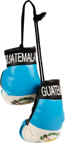 Vista 10 de SandT Collection Guantes de boxeo pequeños con bandera del país - Guantes de boxeo para colgar
