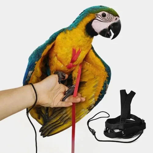 Arnés ajustable para pájaros con correa de 78.7 pulgadas, kit de cuerda de entrenamiento para volar al aire libre para loros de pájaros, correas de