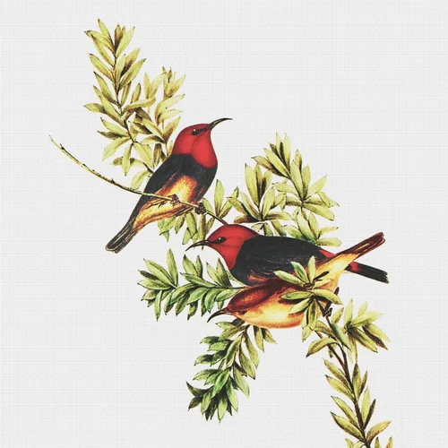 Vista 6 de Canguros australianos John Gould Counted Patrón de punto de cruz