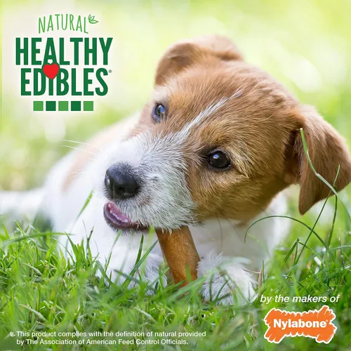 Vista 5 de Nylabone Healthy Edibles Natural Dog Chews - Golosinas masticables de larga duración con sabor a tocino para perros, pequeños/regulares (1 unidad)