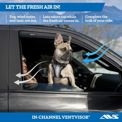 Vista 2 de Auto Ventshade [AVS] Protectores de lluvia en canal para Ford F-150/E-250/E-350/E-450 Super Duty 2007-2026, solo CAB estándar Viseras