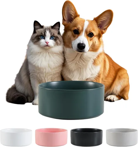Vista 21 de Cuenco de cerámica para perros para comida y agua, cuenco comedero para mascotas para perros y gatos pequeños, plato de alimentación de cerámica