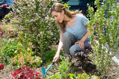 Vista 5 de Gardena 8913 dos dientes Combisystem Acero de alta calidad Azada, Ancho 2.0 in, Estándar