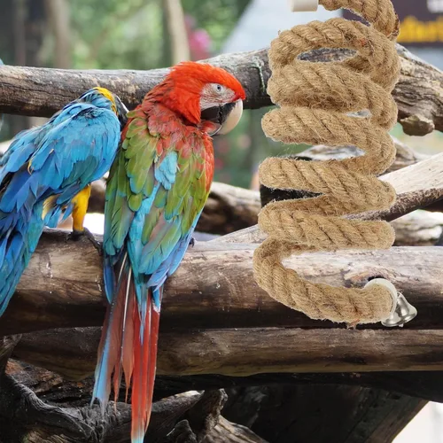Vista 6 de Juguete de cuerda para pájaros, perca de escalada de loros de 4.9 ft, columpio de cuerda duradera para periquitos agapornitos y cacatúas