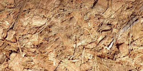 Vista 5 de FibreDust Mantillo de fibra de coco de 17 libras, paquete de 4.4 lbs de 2 – 100% cáscara de coco natural, piezas trituradas y cortadas, gran