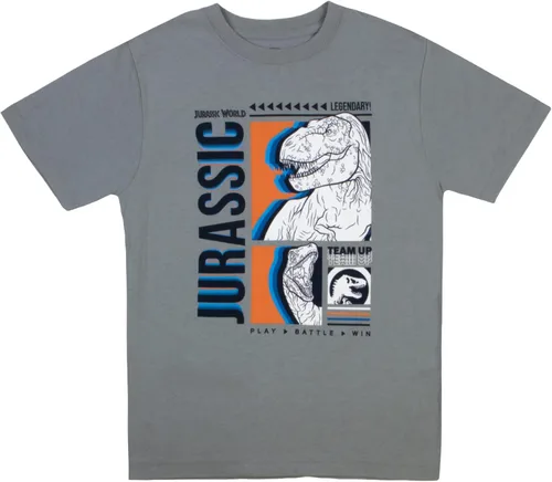 Vista 4 de Universal Studios Jurassic World - Juego de 2 camisetas para niños, diseño de dinosaurios para niños