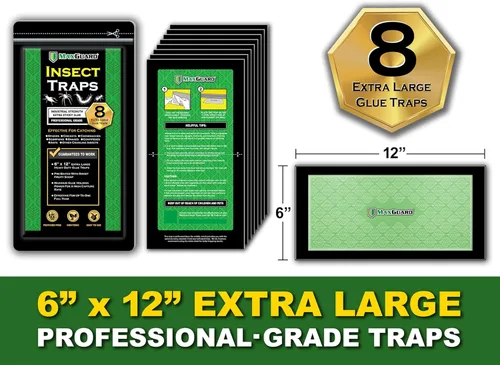 Vista 3 de MaxGuard Trampas para insectos extra grandes (8 trampas) Tabla de pegamento precebada extra pegajosa no tóxica, atrapa y mata a la mayoría