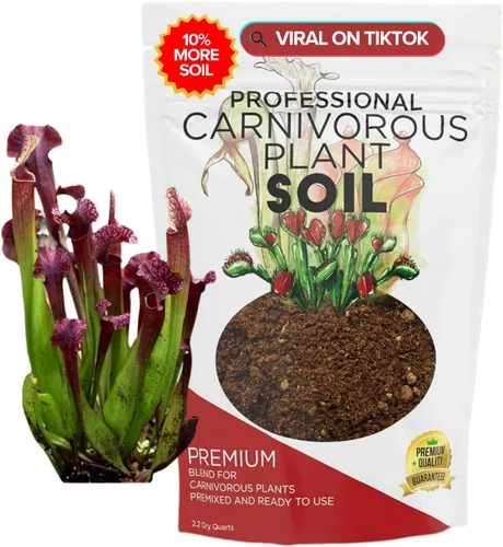 Vista 16 de Tierra para Plantas de Interior de Higuera de Hoja de Violín Mezcla Premium Multiusos Grande 2.2 Cuartos Lista para Usar en Plantas