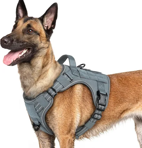 Vista 25 de rabbitgoo - Arnés para perros pequeño sin tirones, chaleco táctico de servicio con Molle y asa de control, arnés militar ajustable y reflectante