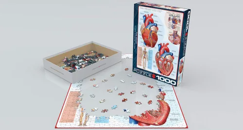 Vista 4 de EuroGraphics Human Body (The Heart) Puzzle (1000 piezas), azul