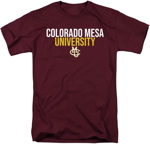 Vista 193 de LOGOVISION Official Collegiate Distressed Stacked Short Sleeve Unisex for Men & Women T Shirt Collection 3