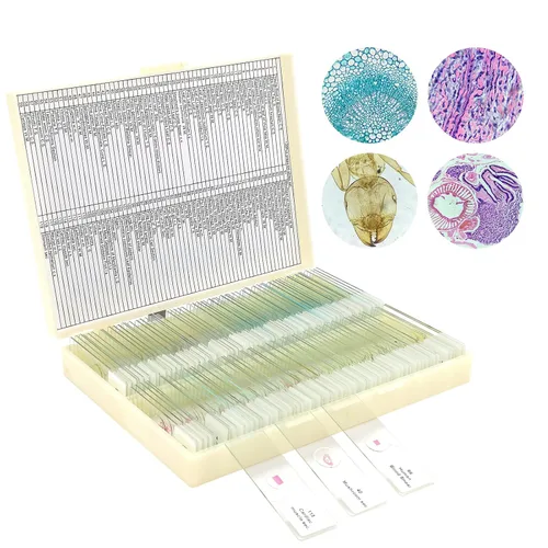 Vista 9 de 60 portaobjetos de microscopio con muestras para niños, diapositivas de microscopio preparadas para microbiología infantil, diapositivas