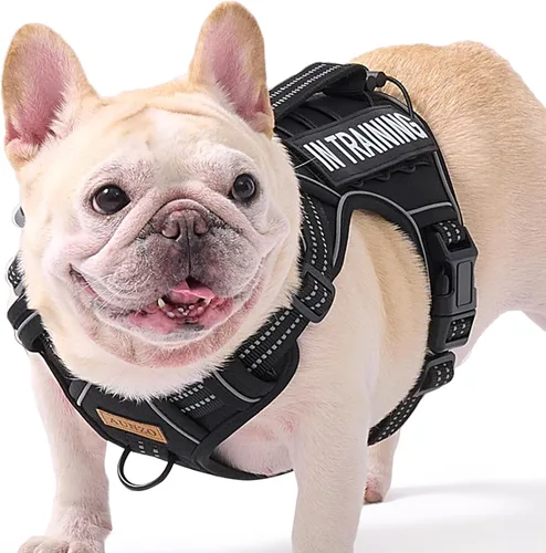 Vista 31 de Arnés para perro sin tirones para perros de tamaño pequeño, chaleco ajustable para caminar fácilmente, material Oxford transpirable, tiras