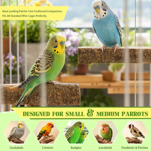 Vista 8 de Plataforma de perca de pájaro de madera de manzana natural de 2
