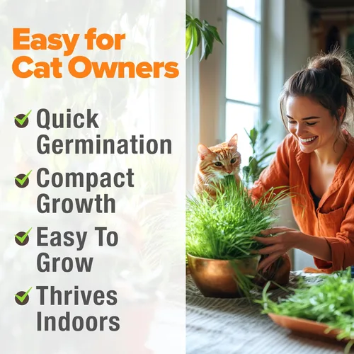 Vista 6 de HOME GROWN Semillas de hierba para gatos, mezcla de avena y cebada de 4 onzas, kit de recarga de hierba para gatos de interior, césped verde