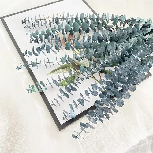 Vista 2 de Eucalipto para ducha, 10 piezas de tallos de eucalipto secos colgantes de 17 pulgadas, paquete de eucalipto real 100% hecho de eucalipto fresco