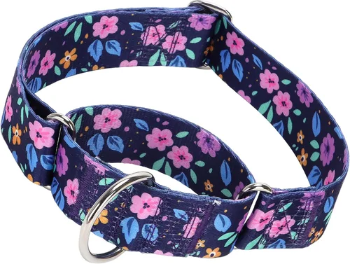 Vista 15 de Collar Martingale para Perro de 1.5 Pulgadas de Ancho - Diseño de Calavera Extra Resistente para Perros Grandes, Collar de Entrenamiento Ajustable 11